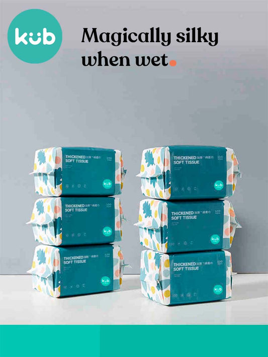 Carton Pack dry wipes 80  6pacs