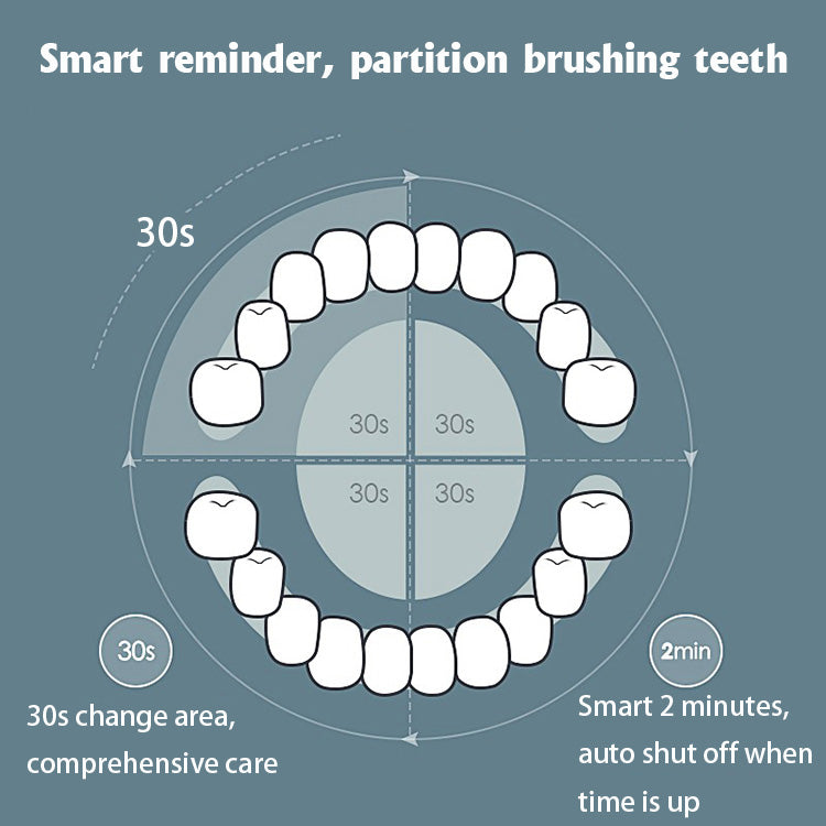 Electric Toothbrush
