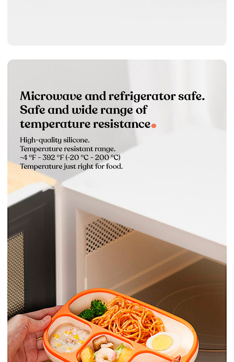 Dish with silicone compartments