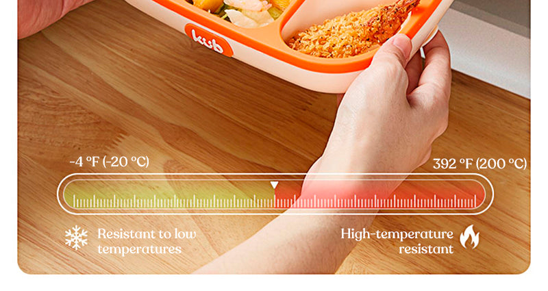 Dish with silicone compartments
